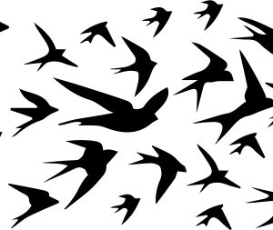 Flight Of The Swallows Stencil-0