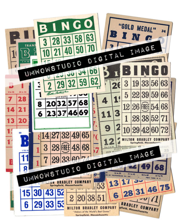 Bingo Card Collection : The Last You'll Ever Need-0