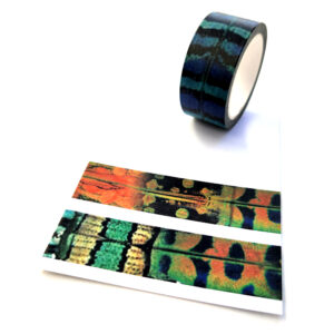 Digital Washi Tape NEUTRAL SAFARI Graphic by Sweet Shop Design · Creative  Fabrica