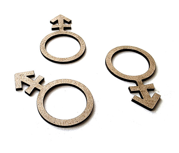 Identity Symbol : Androgyne