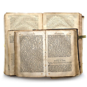 Rare Bible Pages