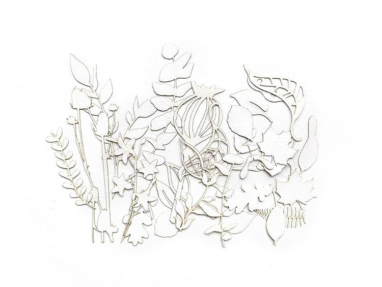 UmWOW Cuts – Florals – Watercolor Paper