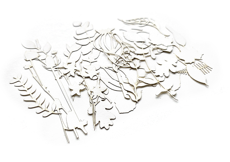 UmWOW Cuts – Florals – Watercolor Paper - Image 2