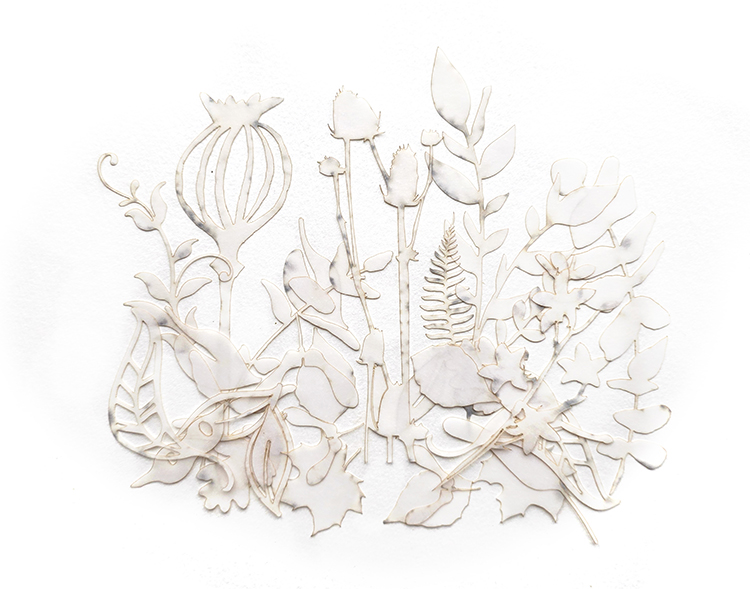 UmWOW Cuts – Florals – Vellum Paper