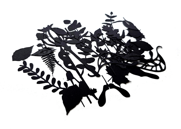 UmWOW Cuts – Florals – Black Card - Image 2
