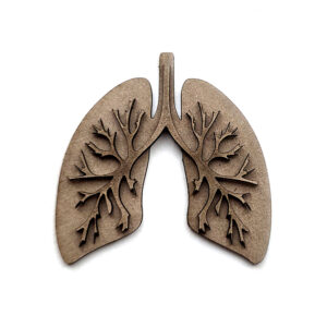 Layered Lungs