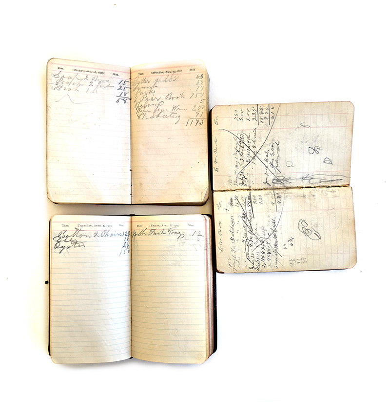 Diary - Image 3