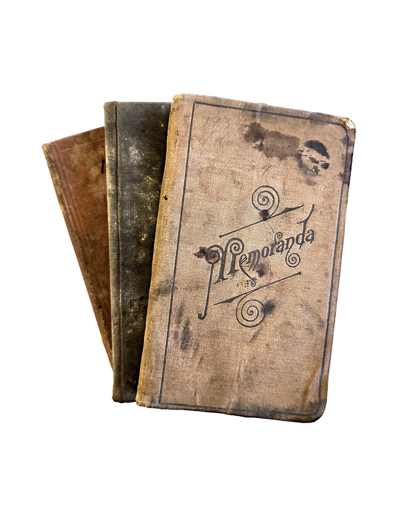 Diary - Image 2