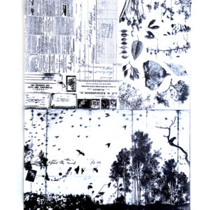 UmWow Tissue Wilderness Collage
