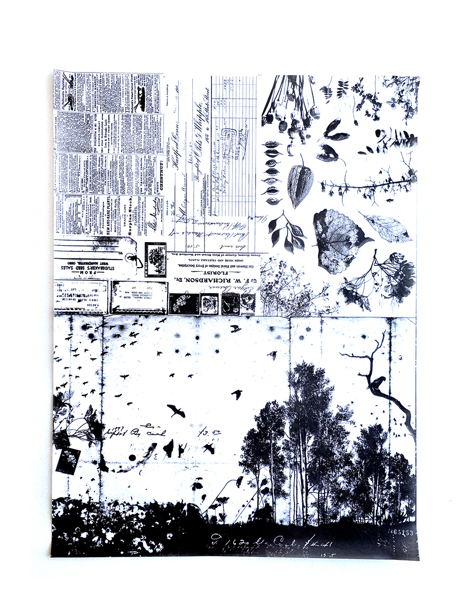 UmWow Tissue Wilderness Collage
