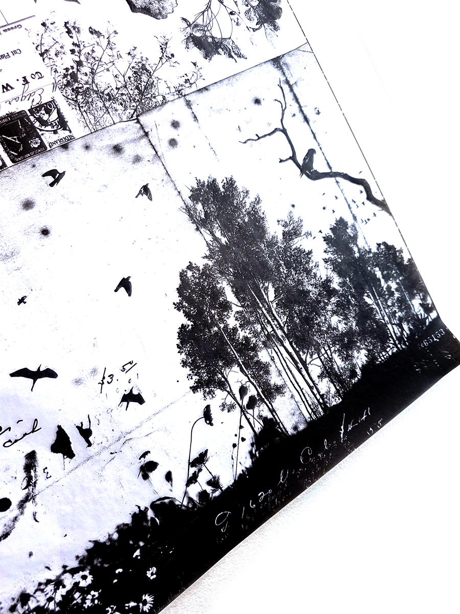 UmWow Tissue Wilderness Collage - Image 4